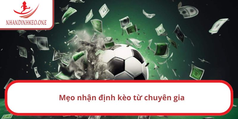 Trang chủ 19 Kinh nghiệm nhận định kèo hiệu quả từ cao thủ